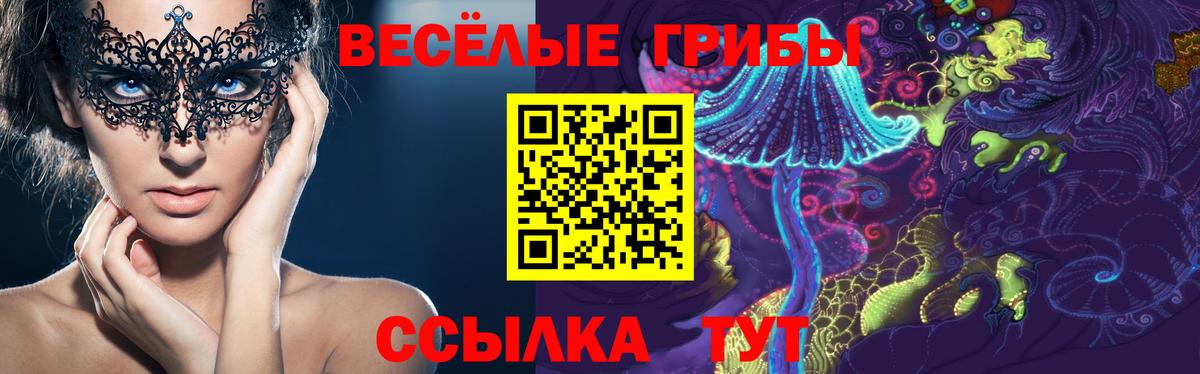 Клинцы  цены   Псилоцибиновые грибы MAGIC MUSHROOMS  Вход с VPN  Галлюциногенные грибы GOLDEN TEACHER 